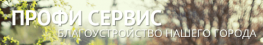 Профи Сервис
