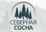 Северная сосна