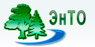 ЭнТО