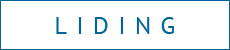 Лидинг